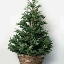 Unknown Antique French Champagne Grape Harvest Basket -Storage Furniture Sales 2024 antique french champagne grape harvest basket sku20940829 0 10 scaled