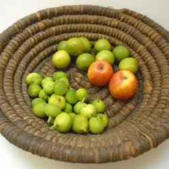 Antique French Large Primitive Woven Rye Round Basket Coiled Panier -Storage Furniture Sales 2024 antique french large primitive woven rye round basket coiled panier sku97118045 0 1