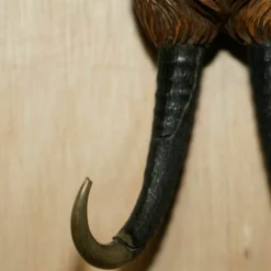 Unknown Antique Musical Circa 1880 Black Forest Hand Carved Fox Whip Hook Glass Eyes -Storage Furniture Sales 2024 antique musical circa 1880 black forest hand carved fox whip hook glass eyes sku27561550 0 8