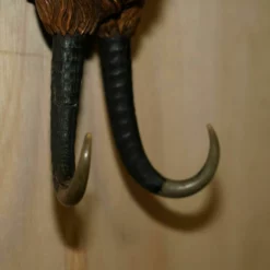 Unknown Antique Musical Circa 1880 Black Forest Hand Carved Fox Whip Hook Glass Eyes -Storage Furniture Sales 2024 antique musical circa 1880 black forest hand carved fox whip hook glass eyes sku27561550 0 9