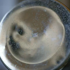 Unknown Deutz Champagne Cooler Bucket Or Silver Metal Wine, Argit Made In France, Barware, Ice Bucket, 30's 13 Unknown Deutz Champagne Cooler Bucket Or Silver Metal Wine, Argit Made In France, Barware, Ice Bucket, 30's -Storage Furniture Sales 2024 deutz champagne cooler bucket or silver metal wine argit made in france barware ice bucket 30 s sku22270821 0 6 scaled