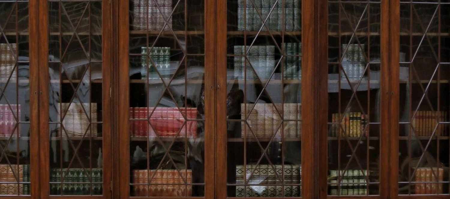 George III Mahogany Breakfront Bookcase 5 George III Mahogany Breakfront Bookcase - Image 5