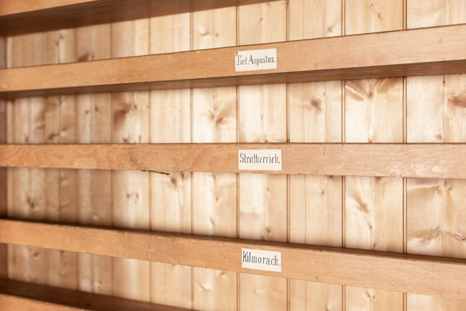 Large Estate Made Scottish Pine Housekeepers Cupboard 8 Large Estate Made Scottish Pine Housekeepers Cupboard - Image 8