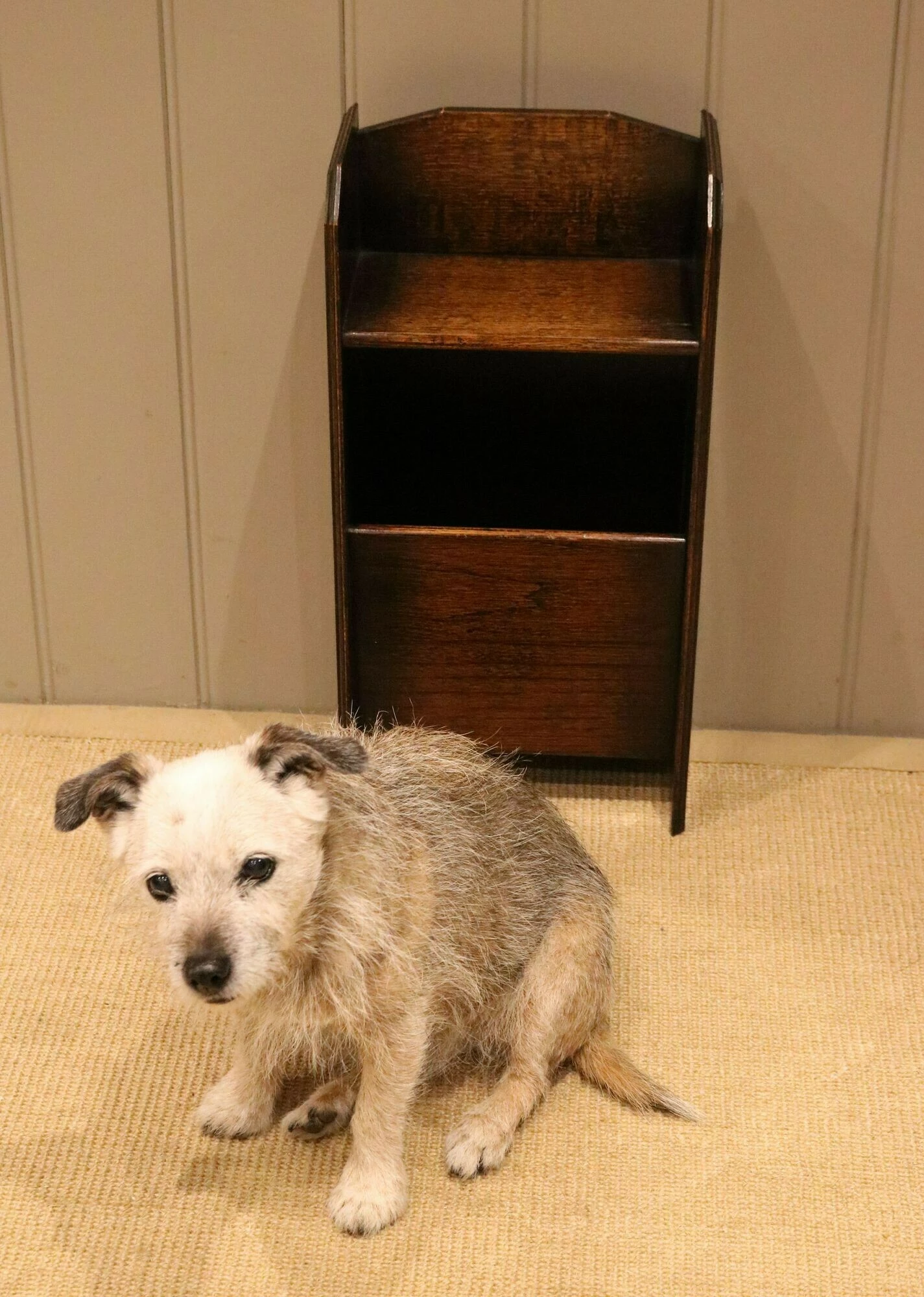 Unknown Oak Magazine Rack, 1930s, Vintage 8 Unknown Oak Magazine Rack, 1930s, Vintage - Image 8