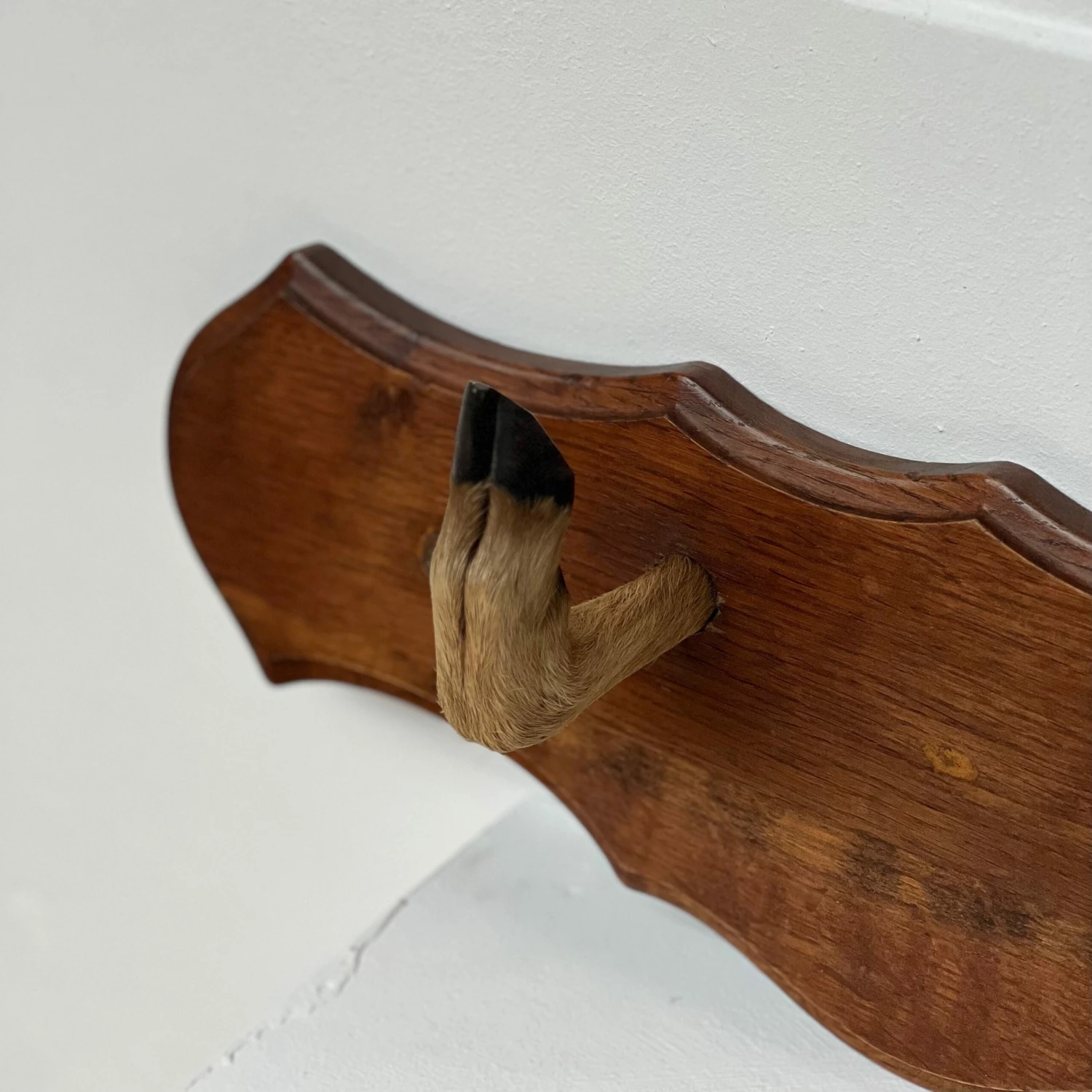 Unknown Unusual Vintage Deer Hoof Rack 5 Unknown Unusual Vintage Deer Hoof Rack - Image 5