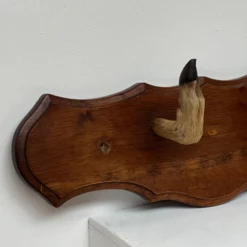Unknown Unusual Vintage Deer Hoof Rack 13 Unknown Unusual Vintage Deer Hoof Rack -Storage Furniture Sales 2024 unusual vintage deer hoof rack sku73542738 0 2
