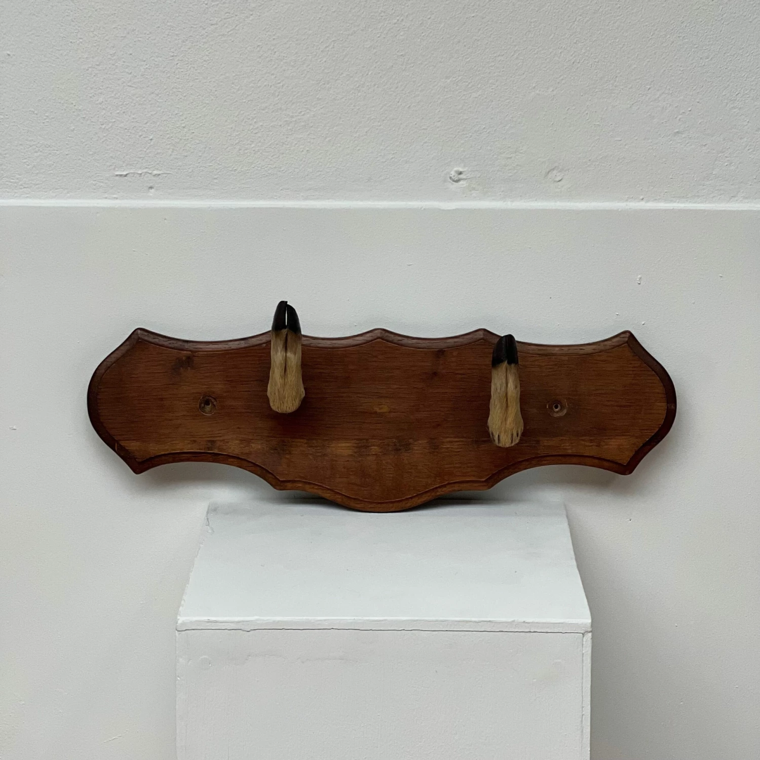 Unknown Unusual Vintage Deer Hoof Rack 10 Unknown Unusual Vintage Deer Hoof Rack - Image 10