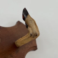 Unknown Unusual Vintage Deer Hoof Rack 17 Unknown Unusual Vintage Deer Hoof Rack -Storage Furniture Sales 2024 unusual vintage deer hoof rack sku73542738 0 5